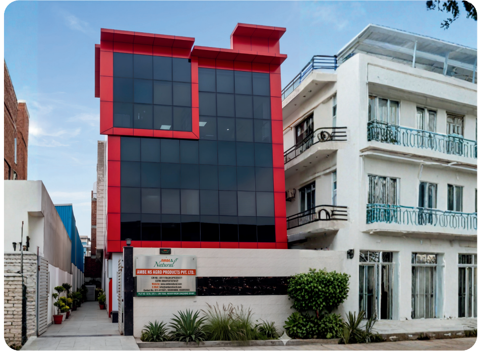 Mohan Nagar Factory